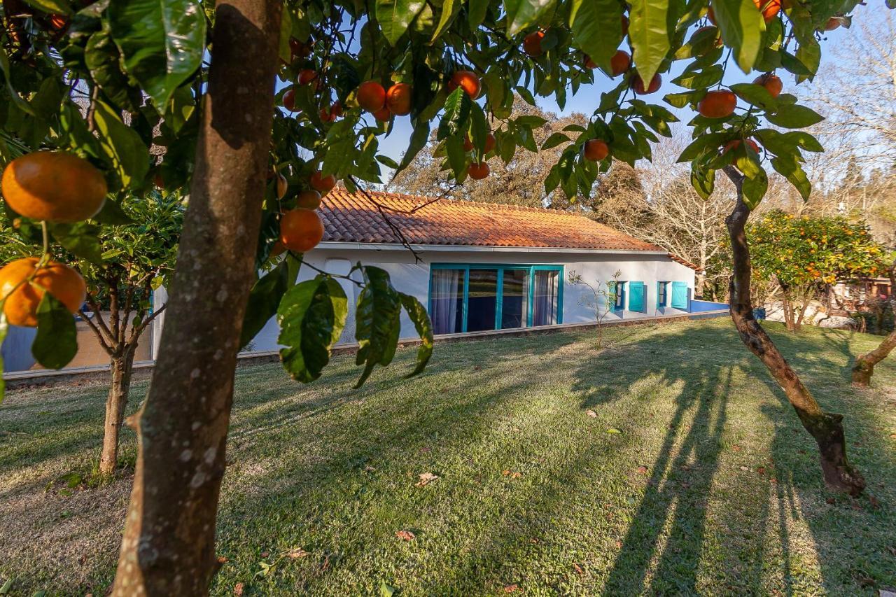Vale Da Silva Villas - Homes البرغاريا-ا-فلهه المظهر الخارجي الصورة